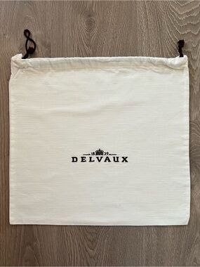 Delvaux dust bag (C575)
